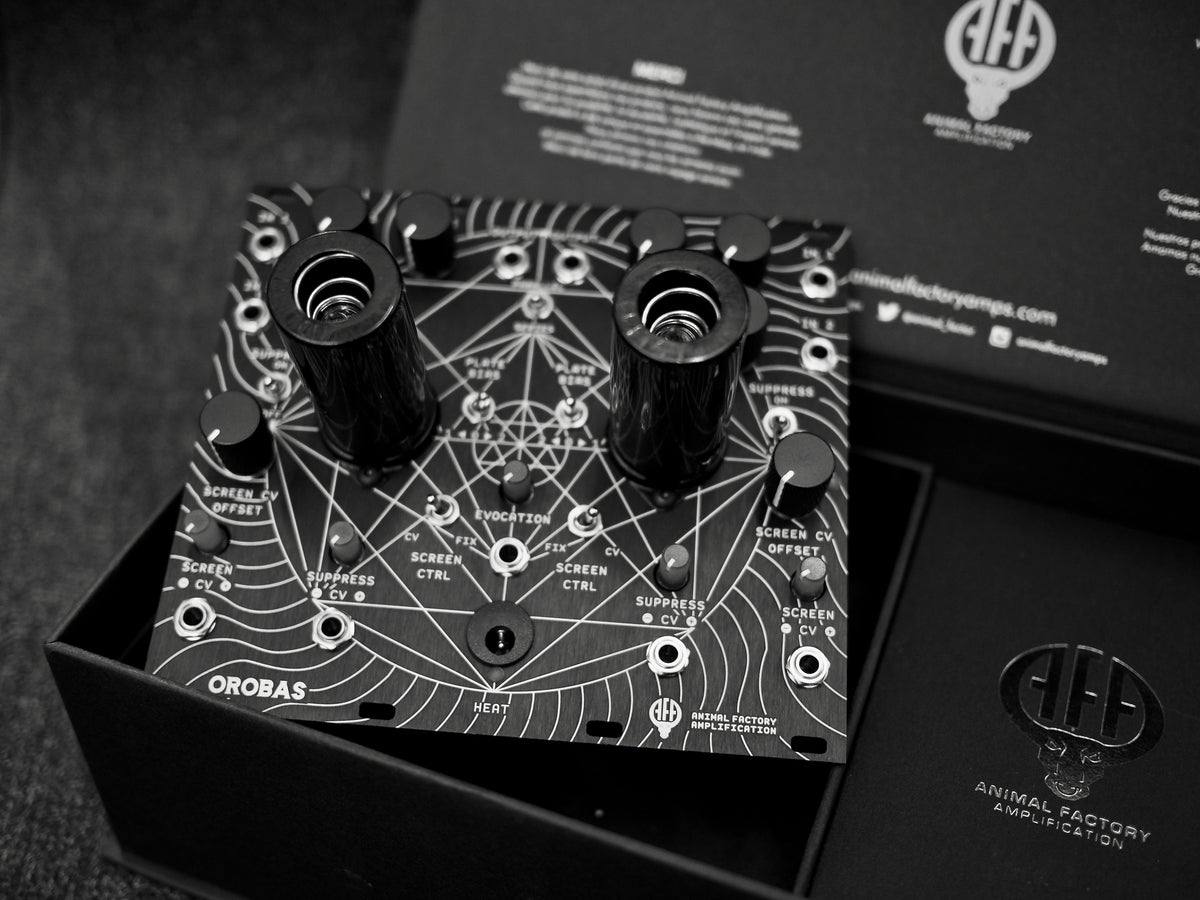 Animal Factory Orobas II Eurorack Dual Vacuum Tube VCA / Saturator Module - View 4