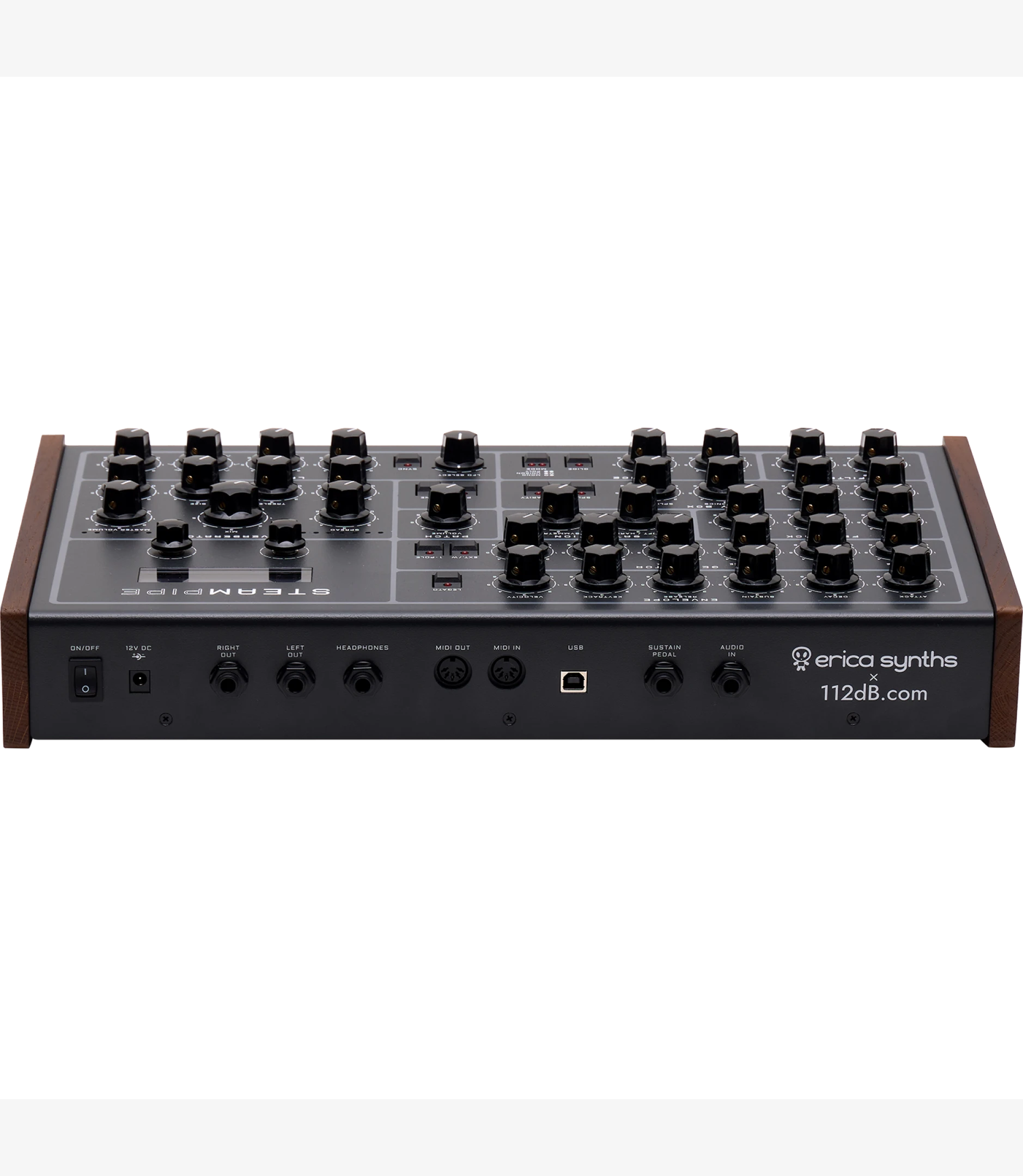 Erica Synths Steampipe Back View