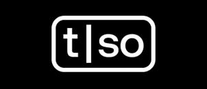 TORSO ELECTRONICS