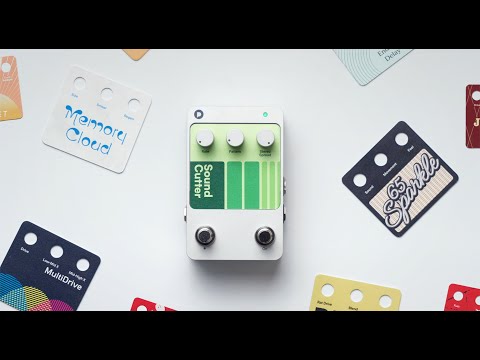 Polyend Endless Video